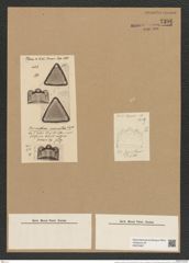 Triceratium succinctum Truan et Witt (de-Toni-Nr.: Genus 140, Species 3911) Zeichnungen Sammlung Grunow Nr. 7396 (NHMW-BOT-W0376467)